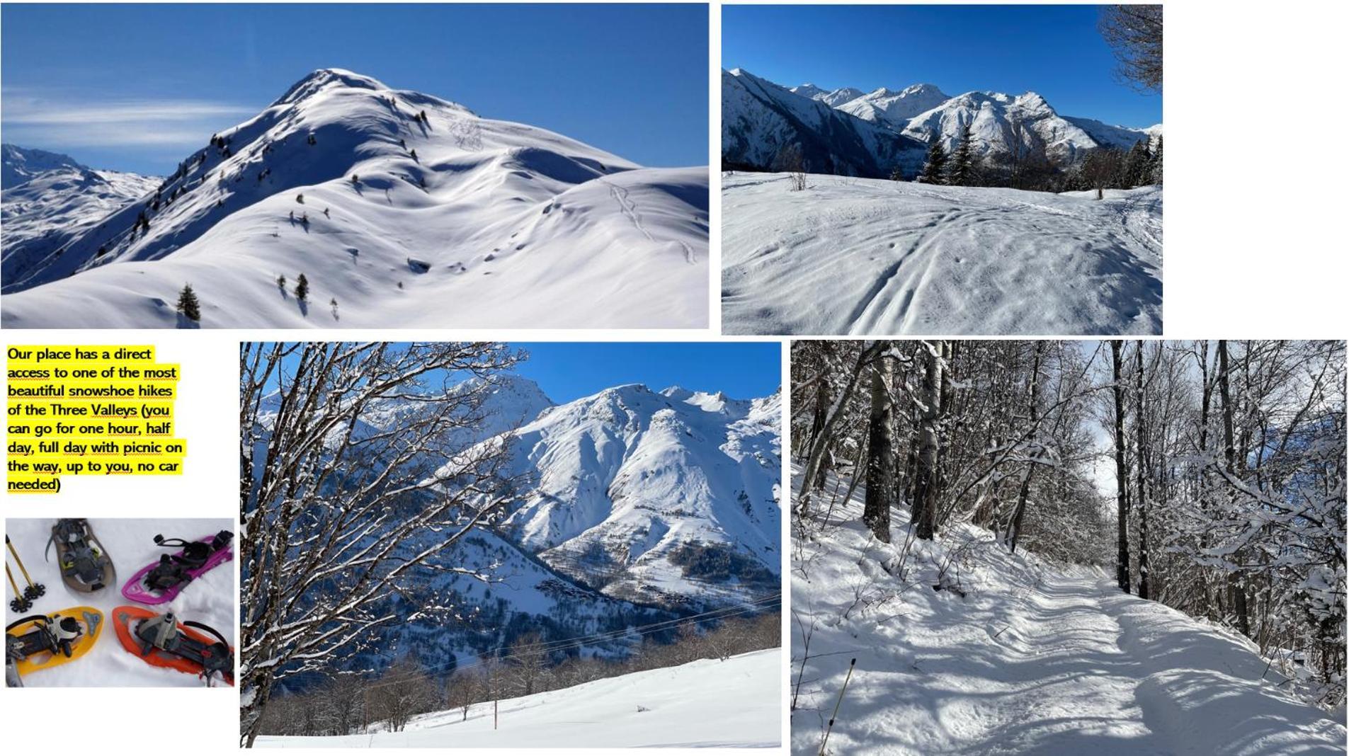 Sycamore Alpine Retreat - 5 Mins From The Slopes Chalet Planvillard