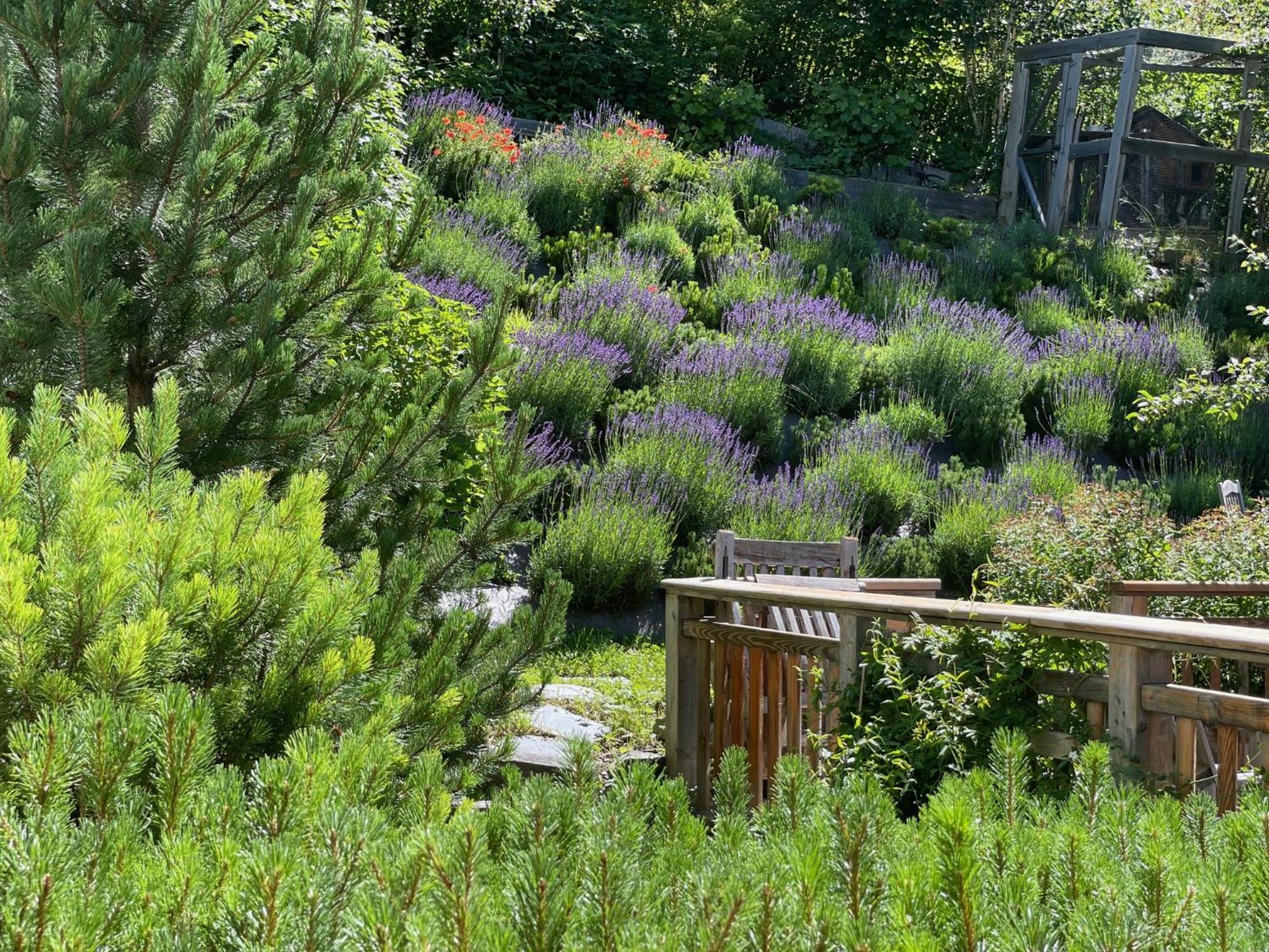 Sycamore Alpine Retreat - 5 Mins From The Slopes Planvillard
